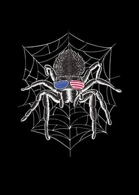 AMERICAN TARANTULA SPIDER