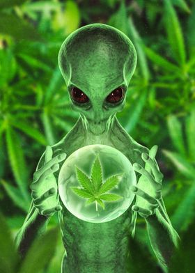 Weedy Alien