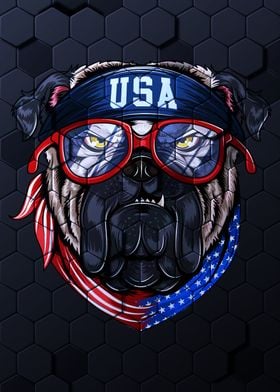 Bull Dog Usa America Flag