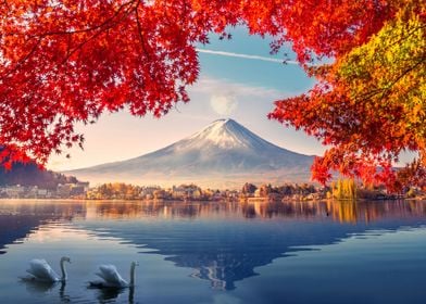 Japan Travel Mount Fuji