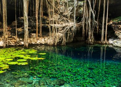 Clear cenote water