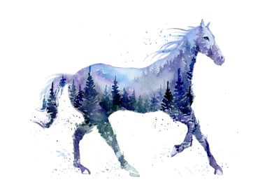 Night Stallion Horse Art