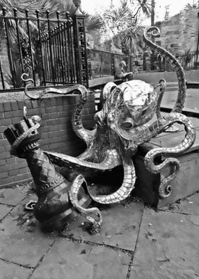 Old Town Octopus
