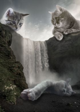 Cat Falls