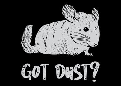 Got Dust Funny Chinchilla