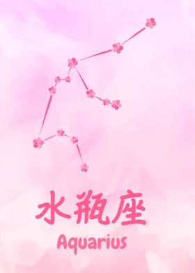 Sakura Aquarius Zodiac