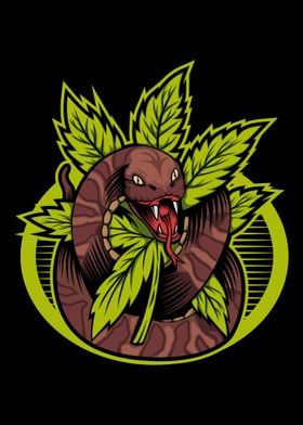 snake cannabis