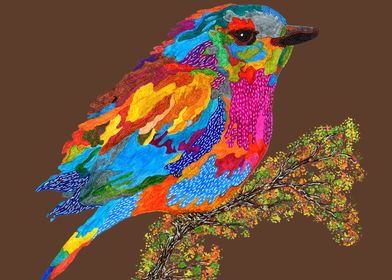 Colorful Bird