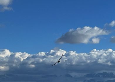 A flight under the clouds