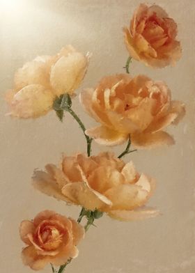 Orange English Roses