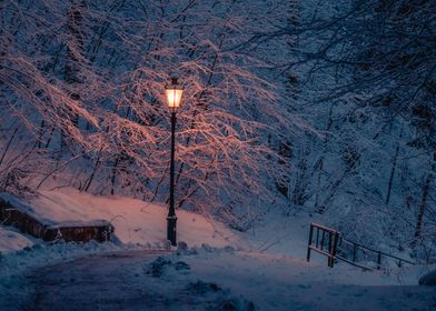 Winter Forest Lantern