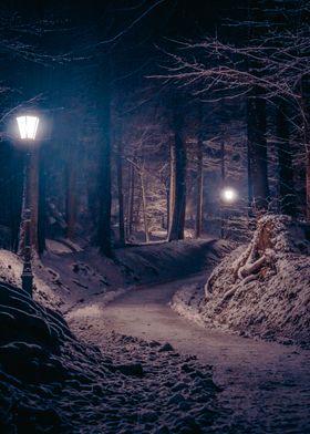 Winter Forest Lanterns