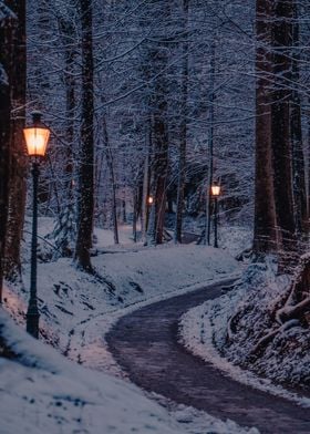 Winter Forest Lanterns