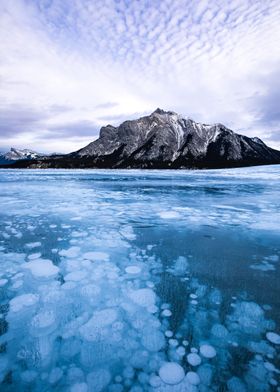 Abraham Lake