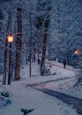 Winter Forest Lanterns