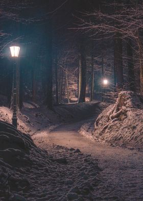 Winter Forest Lanterns