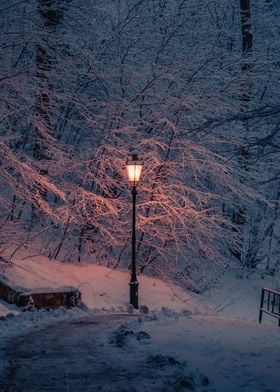 Winter Forest Lantern