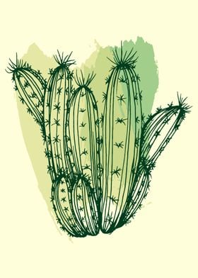 Cactus