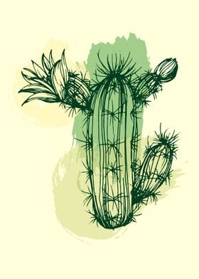 Cactus