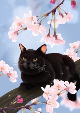 Cute Black Cat