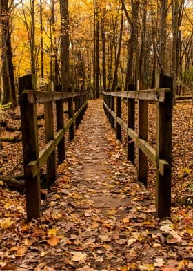 Fall Bridge