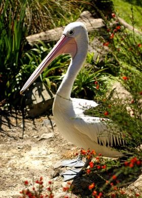 Wellington Zoo