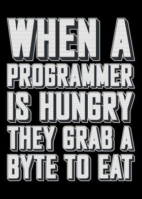 Programmer Software