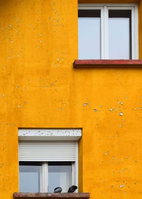 Yellow building facade