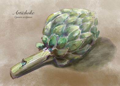 Artichoke