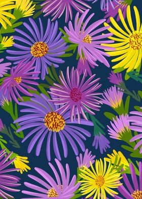 Colorful aster flowers
