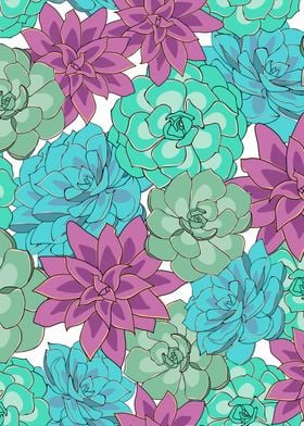 Colorful Succulent pattern
