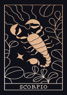 Scorpio Horoscope Zodiac