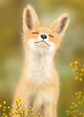 Cute fox