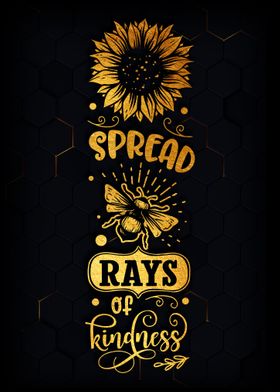 Spread rays of 