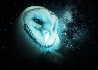 Luminous Barn Owl