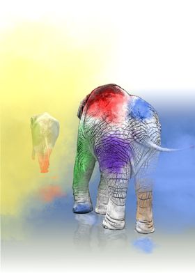 Two colorful elephants