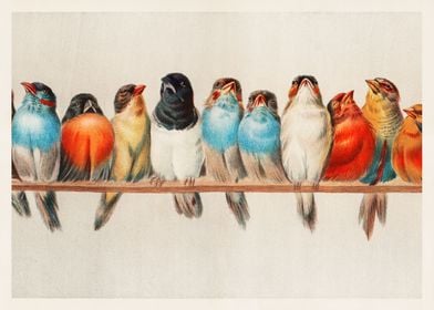 A Perch of Birds vintage