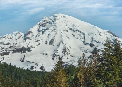 Mt Rainier at Longmire