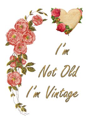 Im not old im vintage