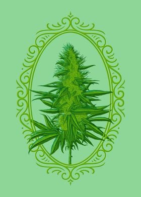 Cannabis Flower