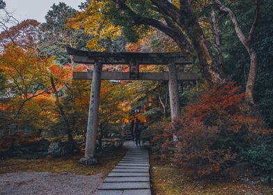 Kyoto Torii Gate