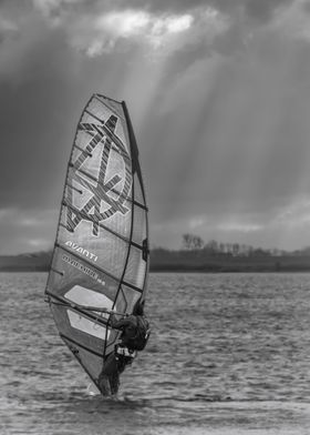 The windsurfer