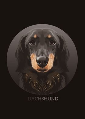 Dachshund