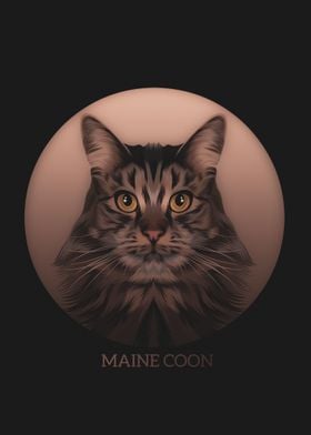 Maine coon