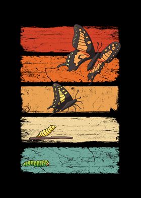 Butterfly Colorful Wings