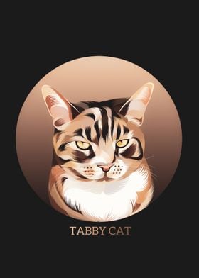 tabby cat