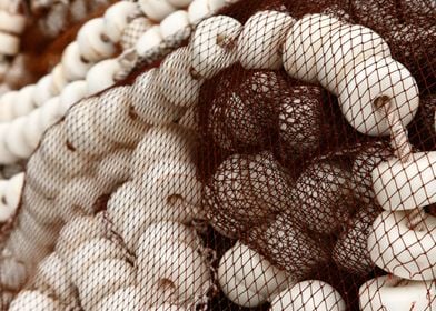 Fishing buoys and nets