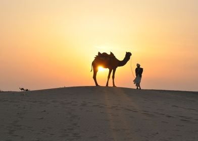 MAN AND CAMEL EGYPT