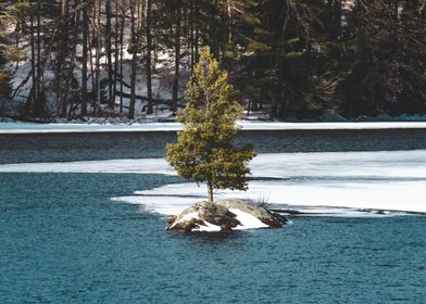 Lone Tree Island