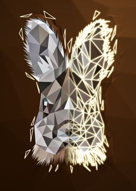 Geometric rabbit
